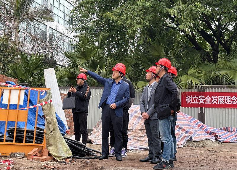 公司开展“保稳定、保安全”专项大检查